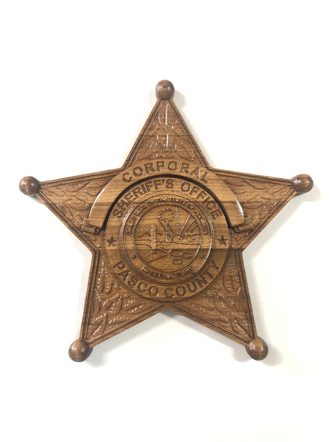 Pasco County Florida Sheriff's Department Uniform Badge